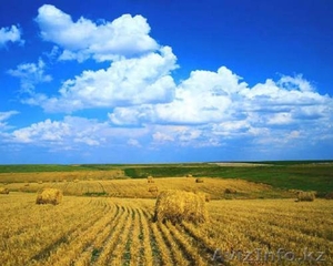 Продам крес.хоз #1033267