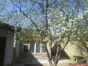 112кв hanzadat@mail.ru 87054852786 #1044680