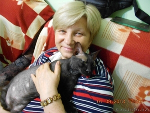 сдам койка-место #1034724