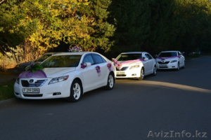 Откатаю Свадьбу в г. Семей #1047786