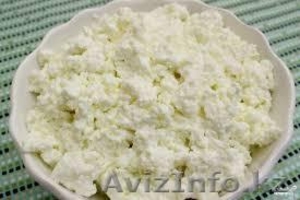 Продаю творог оптом и в розницу #1035009