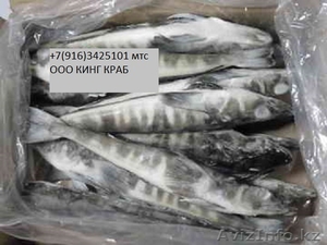 Краб, тунец, икра, креветки.Все для японской, европейской, русской кухни. #1036853