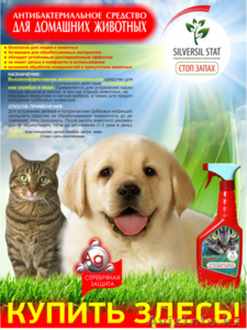 обеззараживание и дезинфекция для домашних питомцев #1033440