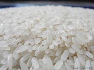 Кызылорда РИС Лидер,  Янтарь #1039806