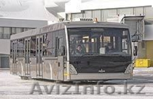 Перронный автобус МАЗ-171075 #1063515