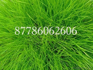 Любые товары питания по низким ценам с доставкой по Уральску. #1063068