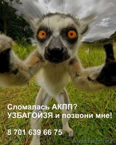 Ремонт АКПП Алматы #1061484