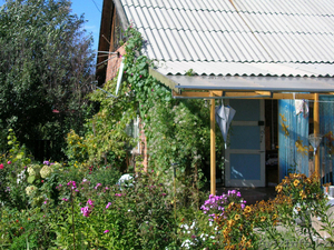 Продам дачу  общество 