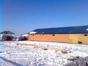 животноводческий бизнес #1051287