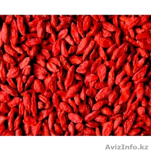 ягоды годжи,  годжи в алматы,  ягоды годжи купить в алматы #1053194