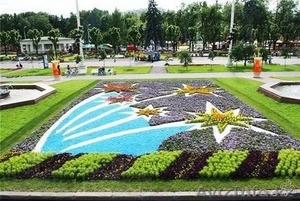 Декоративный щебень фракция 5-10мм #1055818