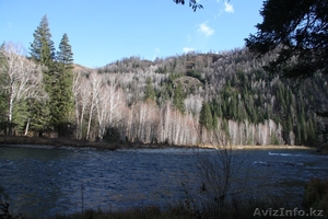 организую рыбалку на ускуча, сибирского ленка и хариуса #1058512