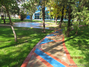 озеленение Нескучный сад  #1052964