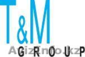 компания ТиМ Консалтинг #1063558