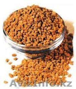 Пажитник (фенугрек) оптом и в розницу в Алматы #1060725