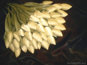 Подарок к 8 марта,  Цветы  #1012602