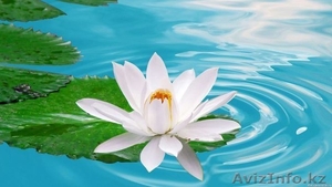 Проводится набор в группу йоги #1062143