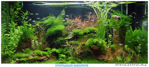 Аквариумы на заказ c гарантией #1079743