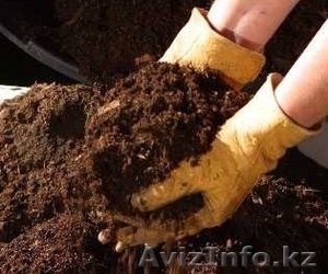 Перегной,  чернозём песок,  цемент,  дресва #1080270