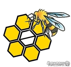 Продается мед натуральный 100% #1077335