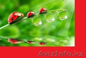  Массаж в Алматы круглосуточно #1077508