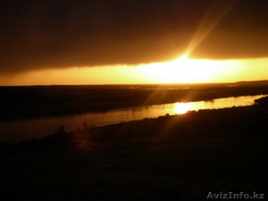 Участок вдоль реки Или #1067742