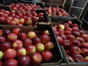 AL-DA Sp.J  Alicja Leszko, Dariusz Basiak #1082502