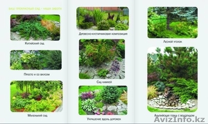 Ландшафтный дизайн,  озеленение #1069313