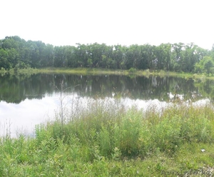 Продаем рыбопосадочный материал #1077712