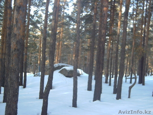 Срочно продам участок в Боровской зоне #1075584