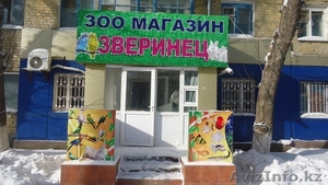 аквариум астана #1080682