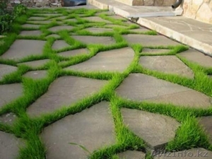 Плитняки разного вида  #1096707