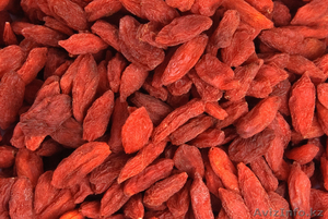 Ягоды Годжи высшего сорта от поставщика-импортера #1095988