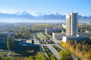 Бесплатная юридическая консультация Алматы при КазНУ им. аль-Фараби #1094955