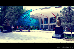 Все санатории Сарыагаша! #1084524