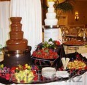 Чудесный шоколад и фруктовые конструкции #1085359