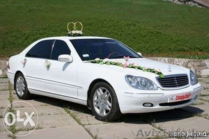 Авто представительского класса #1097566