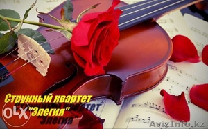 Живая музыка струнный квартет #1096356