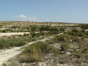  урбанизационный участок в Испании,  Alicante,  Monforte del Cid,  Costa B #1091988