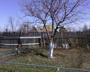 Срочно продам две смежные дачи сад 