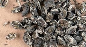 Китайский чай Глаз Феникса в Алматы #1095245