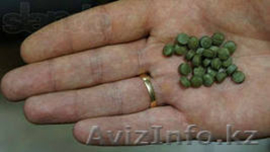 Экономия бензина,  дизеля от 15%! #1088270