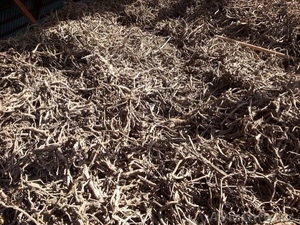 Раушан,  19710313@mail.ru. 8-771-805-66-44 #1089719