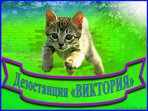 Дезостанция«ВИКТОРИЯ»,  дезинфекция,  уничтожение грызунов,  насекомых #1095903