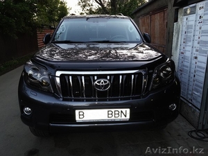 Нанопленка на гос.номер авто #1092131