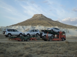 Logistics White Hawk #1102056