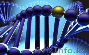 Целитель. Лечение заболеваний.  #1105042