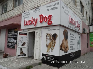 Все виды наружной рекламы. Гарантия качества! #1105143