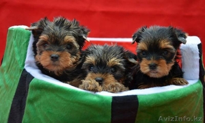 5 мальчиков и 3 девочки #1097828