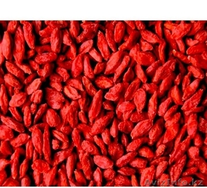 ЧУДО - ЯГОДЫ ГОДЖА ТИБЕТА #1109486